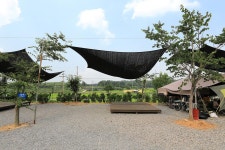 사과랑 관광농원 고캠핑