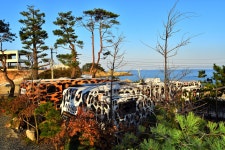 사나래카라반캠핑장