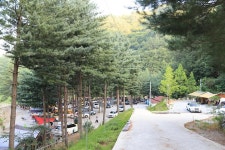 사랑나무 캠핑장 고캠핑