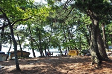 사촌해수욕장야영장