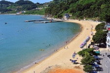 사촌해수욕장야영장 고캠핑