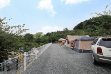 산과별 관광농원 고캠핑