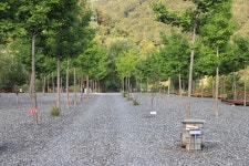 산솔오토캠핑장