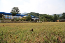 참사람생태예술치유센터(산음숲자연학교)