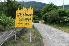 산청별천지캠핑장 고캠핑