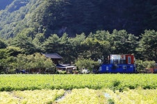 살둔산장 고캠핑