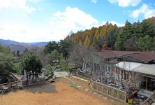 삼남매와 뭉치네 캠핑장