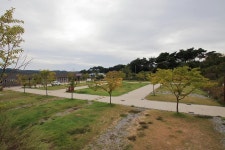 상황오토캠핑장 고캠핑