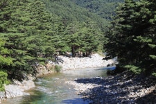 샘골솔밭야영장