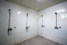 서천 늘푸른캠핑장 고캠핑