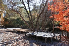 선달산계곡캠핑장 고캠핑