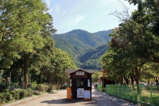 설악동자동차야영장 고캠핑