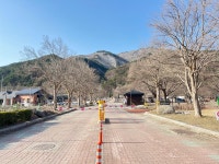 설악동자동차야영장 고캠핑