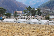 강촌하늘아래 고캠핑