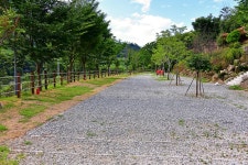 섬진강 마실캠핑장