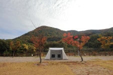 성덕댐 수달 캠핑장