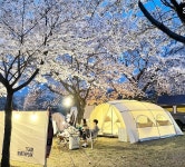 드림랜드오토캠핑장