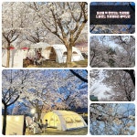 드림랜드오토캠핑장 고캠핑