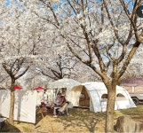 한국관광공사 고캠핑 고캠핑