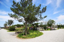 강화고인돌 캠핑장 고캠핑