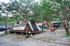 소나무농원 캠핑장