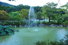 소나무농원 캠핑장