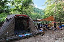 소나무숲아래 고캠핑