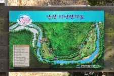 소백산국립공원 남천야영장 고캠핑