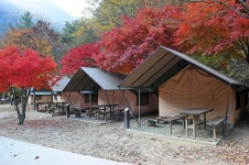 소백산국립공원 남천야영장 고캠핑