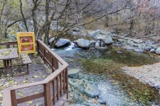 소백산국립공원 남천야영장