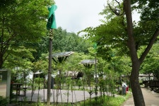 소백산국립공원 삼가야영장