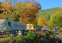소선암오토캠핑장