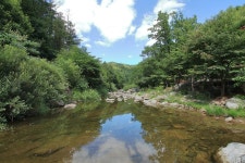 소풍가는날펜션 오토캠핑장 고캠핑