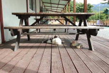 속리산 사계절 캠핑장 고캠핑