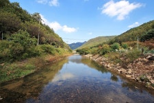 속리산알프스캠핑장&펜션 고캠핑