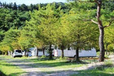 솔뜰