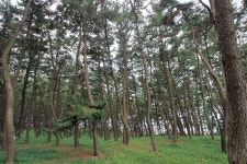 솔바람 야영장