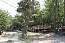 솔밭캠핑장 고캠핑