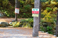 솔밭펜션캠핑장