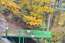 솔밭펜션캠핑장