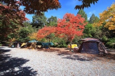 솔티야영장 고캠핑