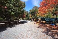 솔티야영장 고캠핑