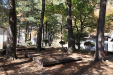 개미들솔향기야영장 고캠핑