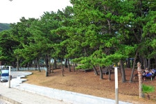 송정솔바람해변캠핑장