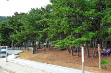 송정솔바람야영장 고캠핑
