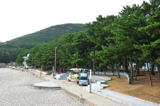 송정솔바람야영장 고캠핑