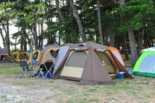 송정솔바람야영장 고캠핑