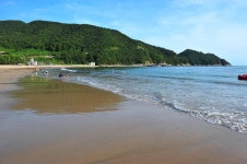 송정솔바람야영장 고캠핑