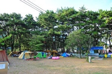 송정솔바람야영장 고캠핑