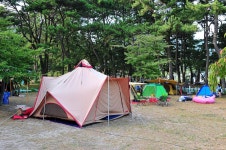 송정솔바람야영장 고캠핑